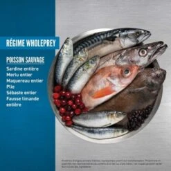 Orijen Croquettes Chat Six Fish 1,8 Kg 7 Orijen Croquettes Chat Six Fish 1,8 Kg -Meilleure Animalerie fa9686eb3bd396f740d6d4a6375dfcc02a8653c3 1260996 fr FR orijenfish 1