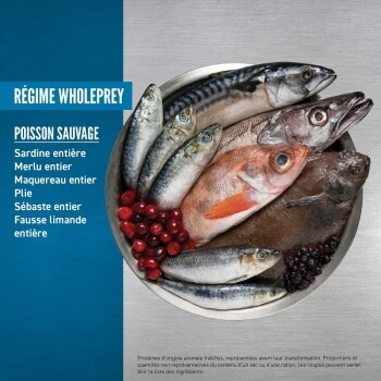 Orijen Croquettes Chat Six Fish 1,8 Kg 5 Orijen Croquettes Chat Six Fish 1,8 Kg – Image 3