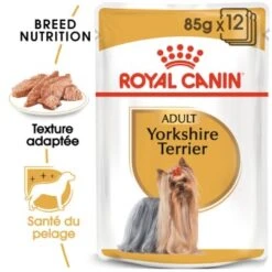 ROYAL CANIN Yorkshire Terrier Nourriture Humide Chien 12 X 85 G