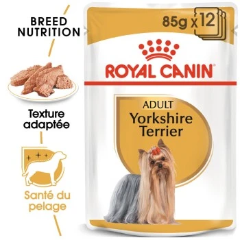 ROYAL CANIN Yorkshire Terrier Nourriture Humide Chien 12 X 85 G 3 ROYAL CANIN Yorkshire Terrier Nourriture Humide Chien 12 X 85 G