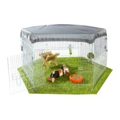 AniOne Enclos Pour Jeunes Animaux 7 AniOne Enclos Pour Jeunes Animaux -Meilleure Animalerie fe37c2d58bb28f04a429dc7a8a7702c4bd70d258 ee370b740ba1d2e57582118d9a447262646c3aad